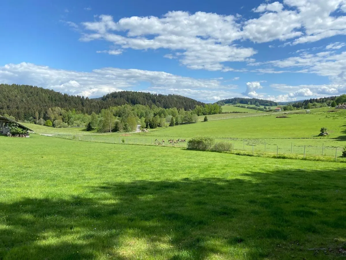 Ferienhaus Plattenstein Kirchberg